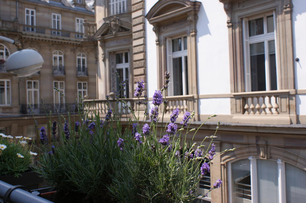 Studio De L'Hotel De Ville Straßburg Exterior foto